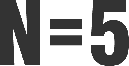 Logo N5 grijs