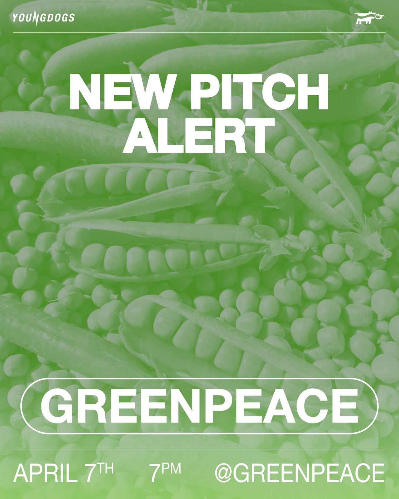 Whats App Image 2026 03 30 at 19 25 29