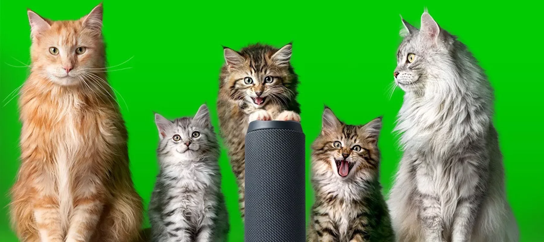 Kpn campagne dentsu creative marketingreport